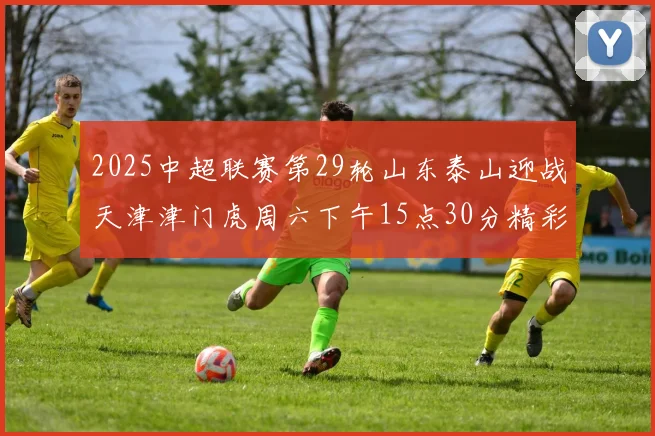 2025中超联赛第29轮山东泰山迎战天津津门虎周六下午15点30分精彩开战